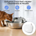 Cat and Dog Water Fountain Filters - Housing Replacement, Compatible with Stainless Steel Pet Water Fountains, Easy-Clean, Durable & Rust-Resistant (Fits L Filters)
