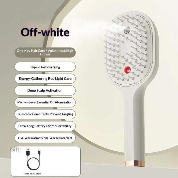 Electric Steam Hair Straightening Brush Water Spray Wet Dry Use USB-C Fast Charging Portable Hair Tool for Salon Travel Use