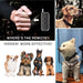 Rechargeable Anti-Bark Dog Training Collar, Waterproof, Remote Control, Pet Product, Puppy, Small Dog, 400M