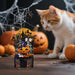 Pop up Halloween Card, Halloween Gifts for Kids Friends Cat Lovers