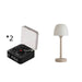Retro Turntable Speaker Wireless Bluetooth-Compatible 5.0 Vinyl Record Player Stereo Sound with White Noise RGB Projection Lamp Effect