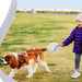 1PC Pet Leash Automatic Extendable Dog Leash