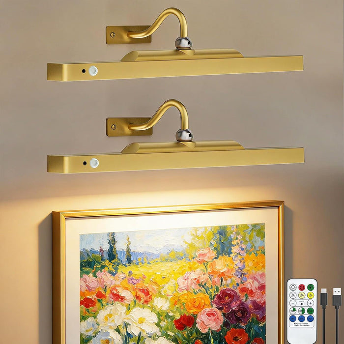 Picture Lights for Wall, Rechargeable Motion Sensor Art Light